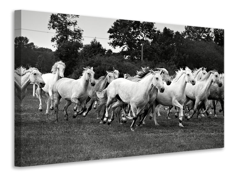 5-piece-canvas-print-the-mustang-herd