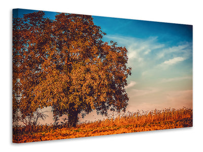 3-piece-canvas-print-the-nut-tree