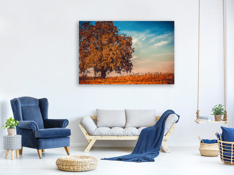 3-piece-canvas-print-the-nut-tree