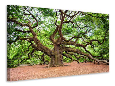 5-piece-canvas-print-the-oak