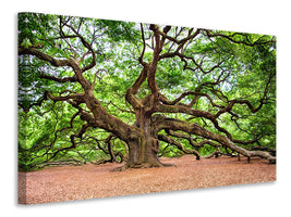 4-piece-canvas-print-the-oak