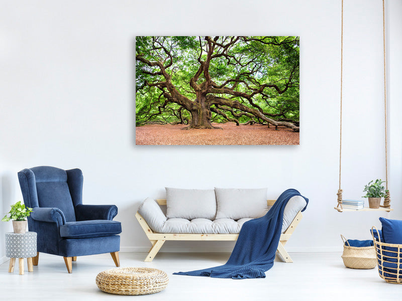 3-piece-canvas-print-the-oak