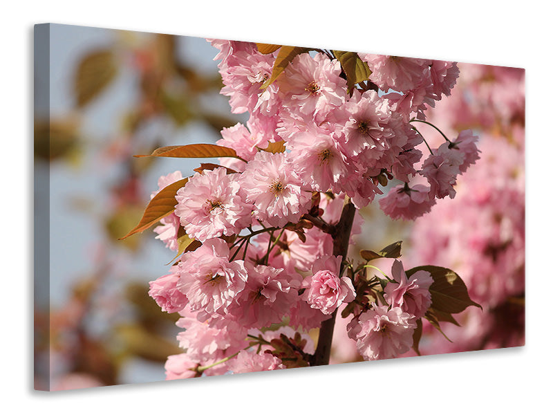 3-piece-canvas-print-the-ornamental-cherry