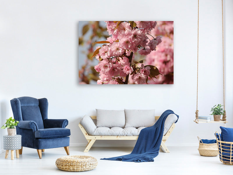 3-piece-canvas-print-the-ornamental-cherry