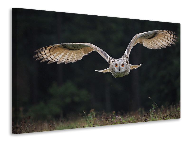 3-piece-canvas-print-the-owl
