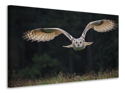 3-piece-canvas-print-the-owl