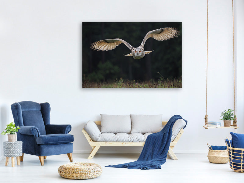 3-piece-canvas-print-the-owl
