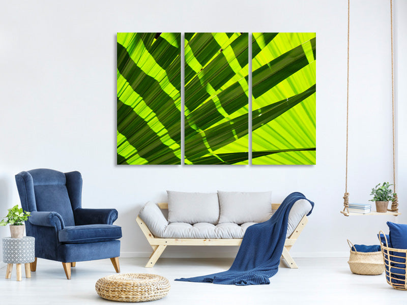 panoramic-3-piece-canvas-print-the-palm-leaf-in-xl