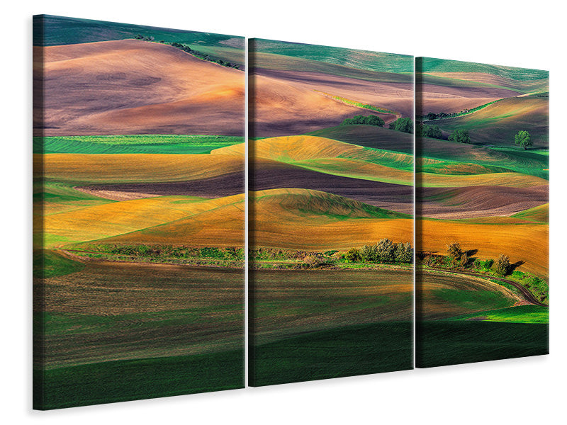4-piece-canvas-print-the-palouse