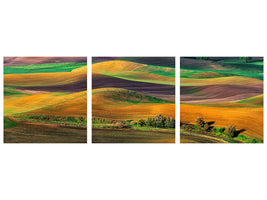 3-piece-canvas-print-the-palouse
