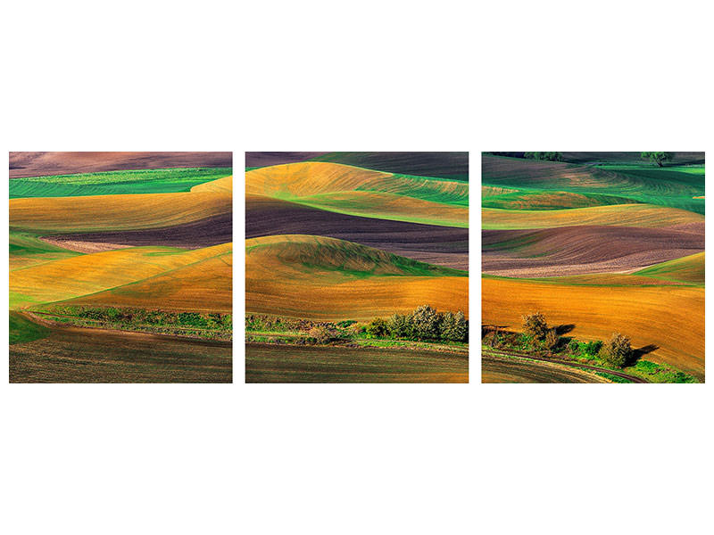 3-piece-canvas-print-the-palouse