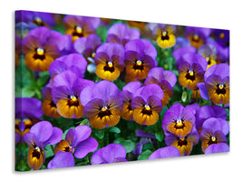 5-piece-canvas-print-the-pansies