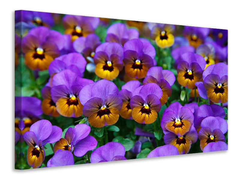3-piece-canvas-print-the-pansies