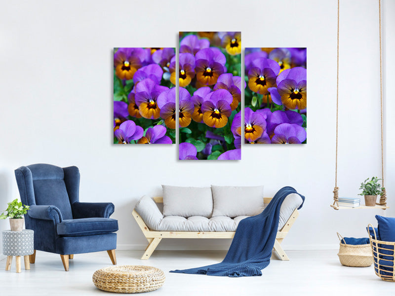 modern-4-piece-canvas-print-the-pansies