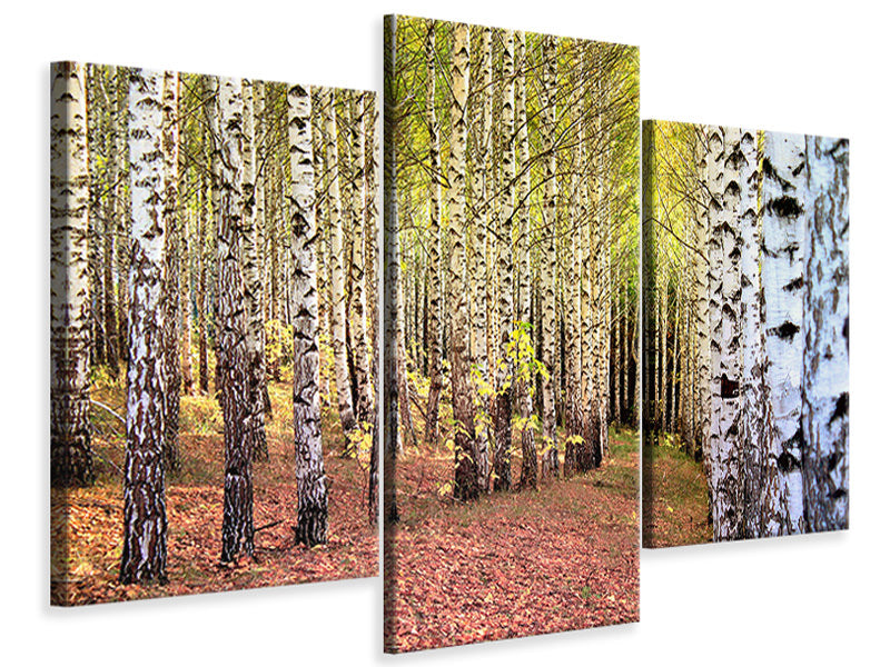5-piece-canvas-print-the-path-between-birches
