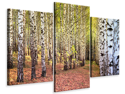 5-piece-canvas-print-the-path-between-birches