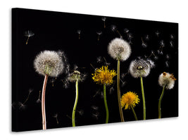 3-piece-canvas-print-the-phases-of-dandelion
