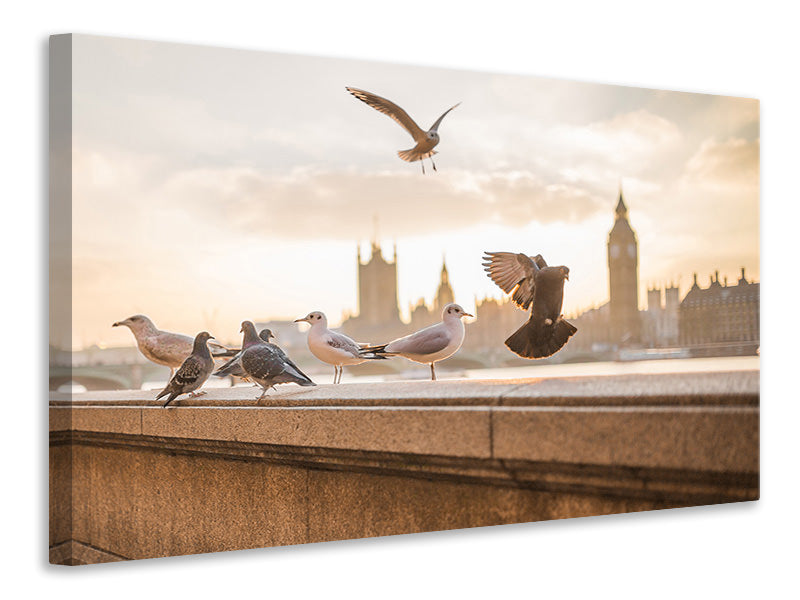 panoramic-3-piece-canvas-print-the-pigeons-on-the-roof
