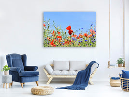 panoramic-3-piece-canvas-print-the-poppy-in-the-flower-meadow