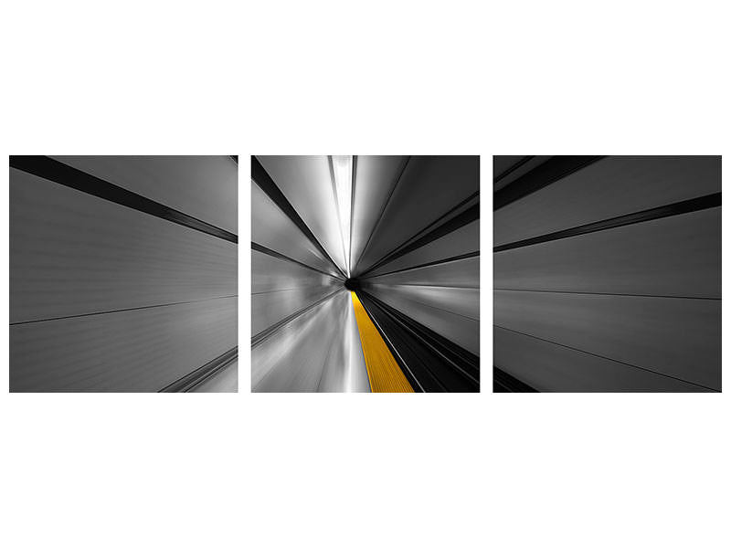 3-piece-canvas-print-the-power-of-speed
