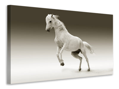 3-piece-canvas-print-the-proud-mare