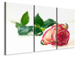 5-piece-canvas-print-the-proud-rose