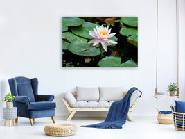 3-piece-canvas-print-the-proud-water-lily