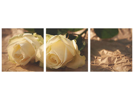 3-piece-canvas-print-the-purity-of-the-roses