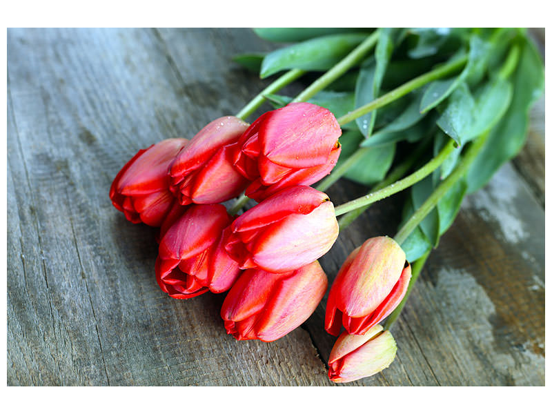 4-piece-canvas-print-the-red-tulip-bouquet