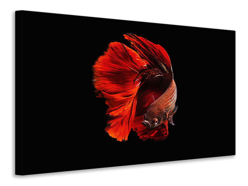modern-4-piece-canvas-print-the-red