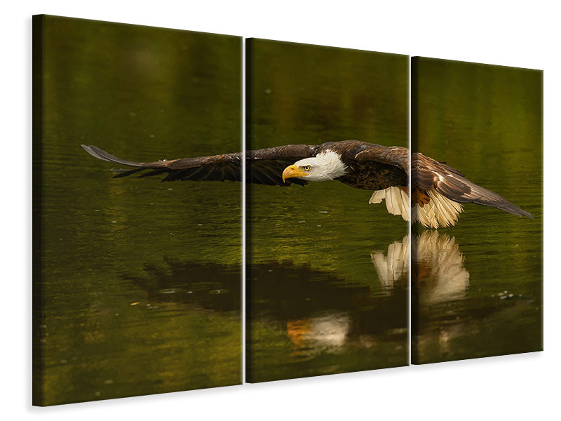 modern-3-piece-canvas-print-the-reflective-pond