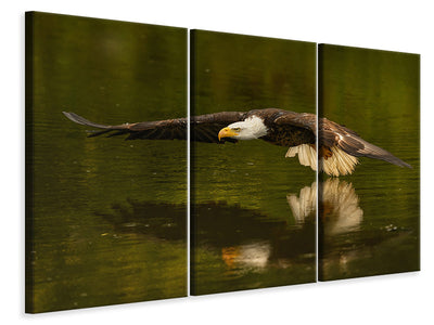 panoramic-canvas-print-the-reflective-pond