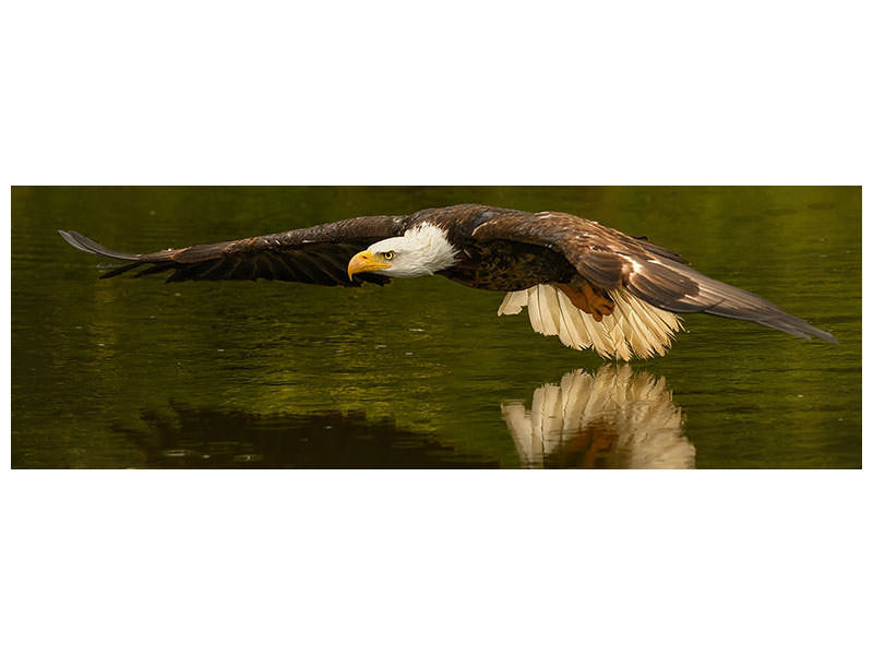 canvas-print-the-reflective-pond