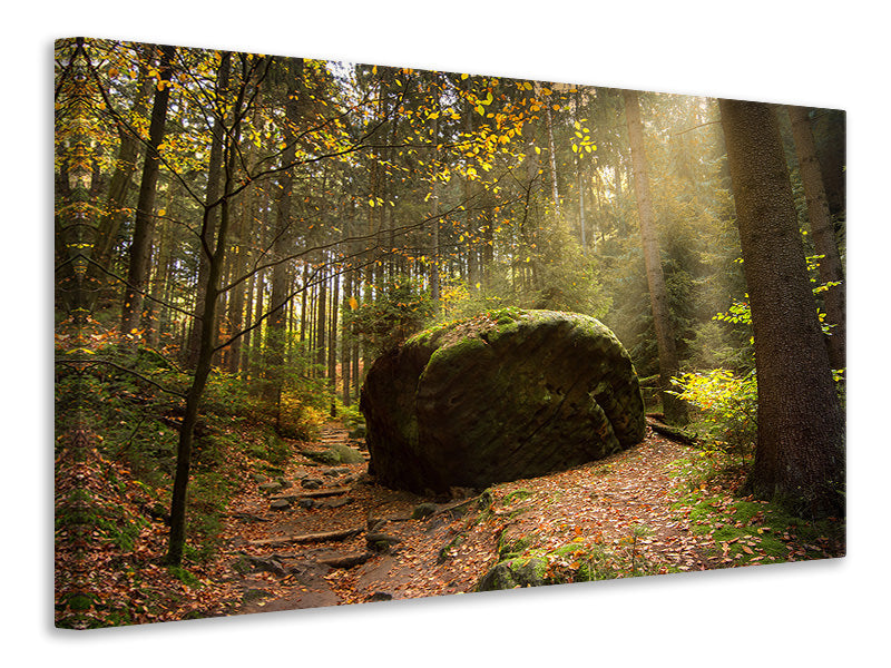 5-piece-canvas-print-the-rock-in-the-forest