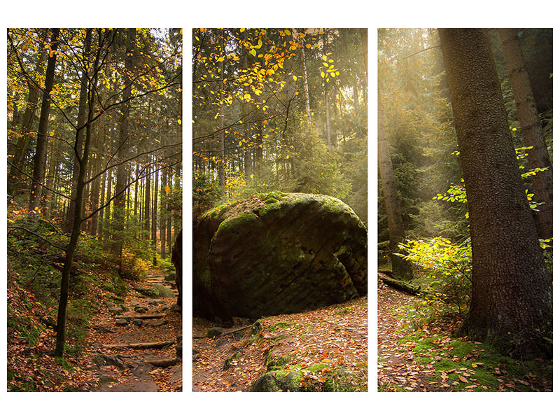 4-piece-canvas-print-the-rock-in-the-forest