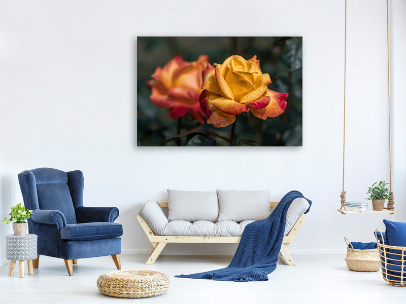 3-piece-canvas-print-the-rose-in-the-garden
