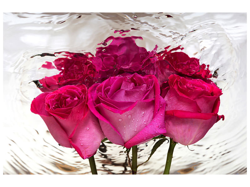 5-piece-canvas-print-the-rose-reflection