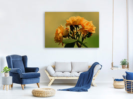 3-piece-canvas-print-the-roses-in-nature