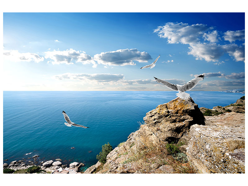 5-piece-canvas-print-the-seagulls-and-the-sea