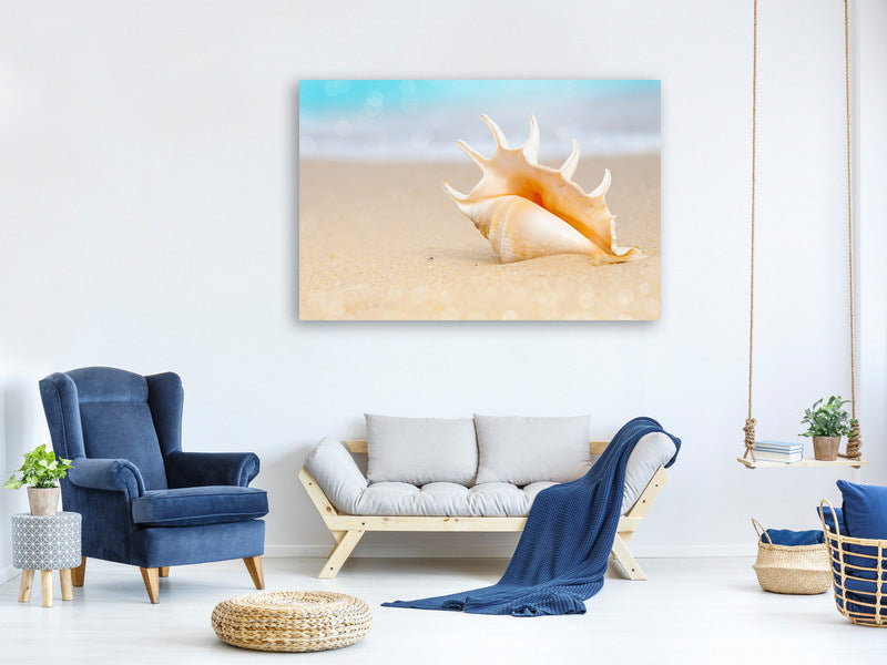 modern-4-piece-canvas-print-the-shell-on-the-beach