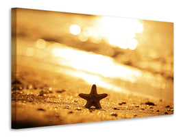 5-piece-canvas-print-the-starfish
