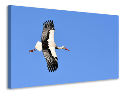 3-piece-canvas-print-the-stork-in-action