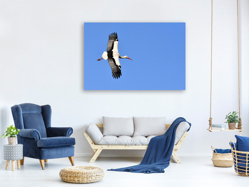 3-piece-canvas-print-the-stork-in-action