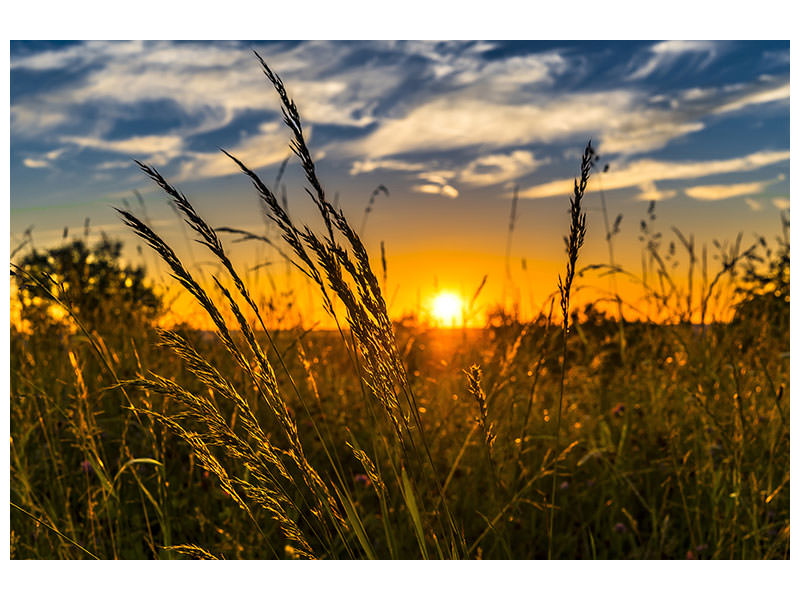 3-piece-canvas-print-the-sunset-on-the-field