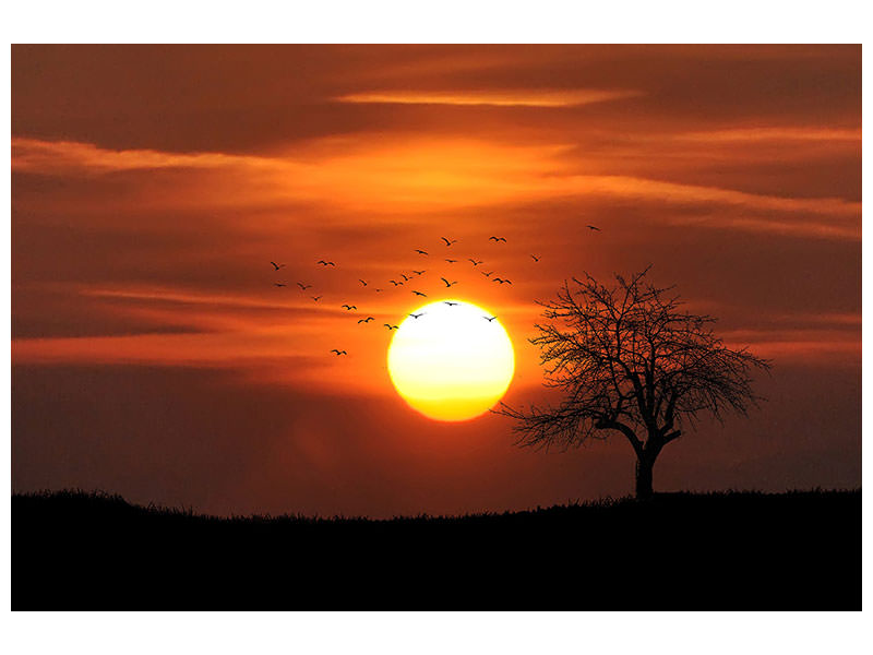 panoramic-canvas-print-the-sunset-on-the-horizon