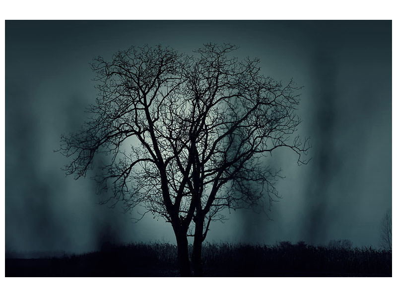modern-4-piece-canvas-print-the-tree-in-darkness