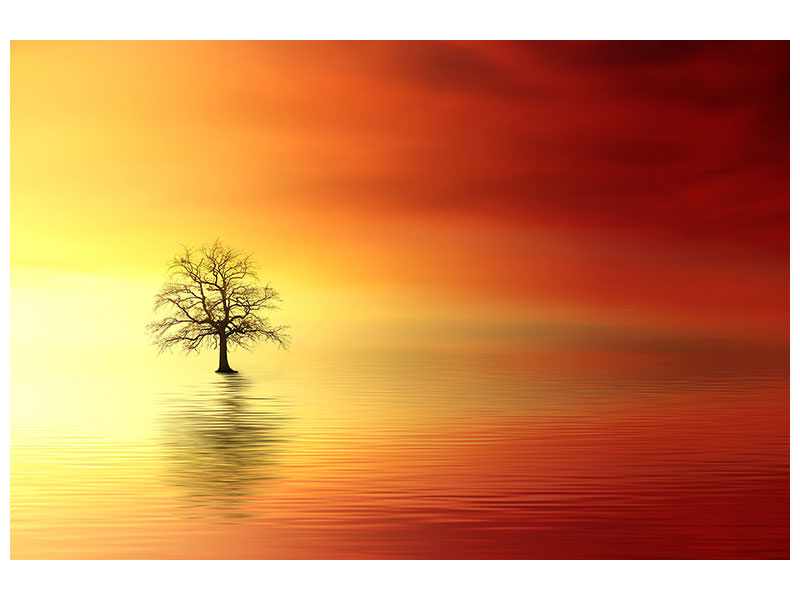 panoramic-3-piece-canvas-print-the-tree-in-the-water