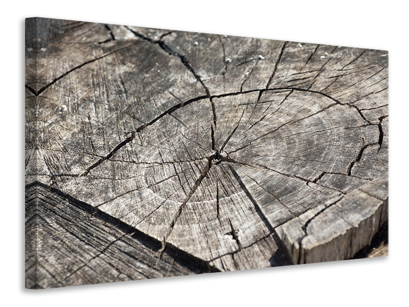 3-piece-canvas-print-the-tree-rings