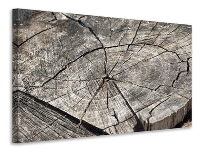 3-piece-canvas-print-the-tree-rings