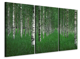 5-piece-canvas-print-the-tunnel